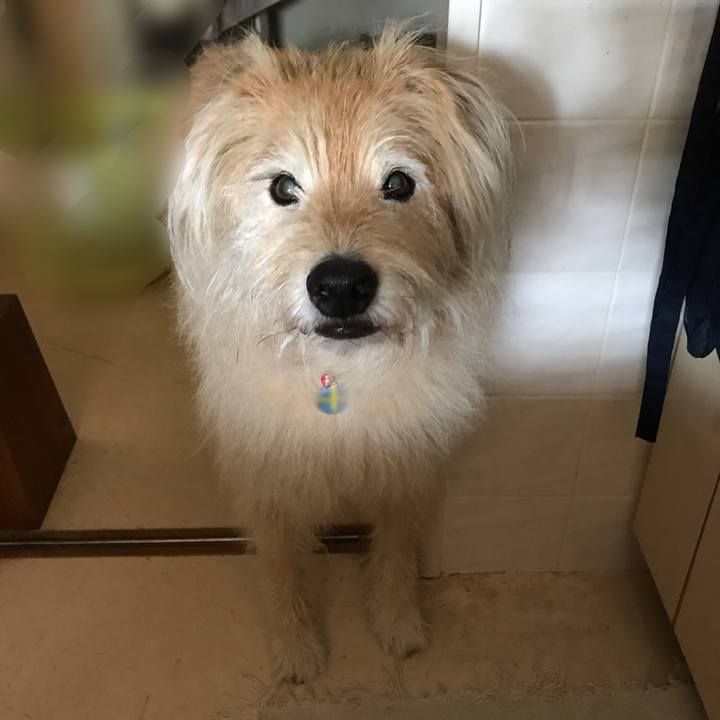 2cac7659 b60d 4721 abbe d740c7067bdf 1621845058475