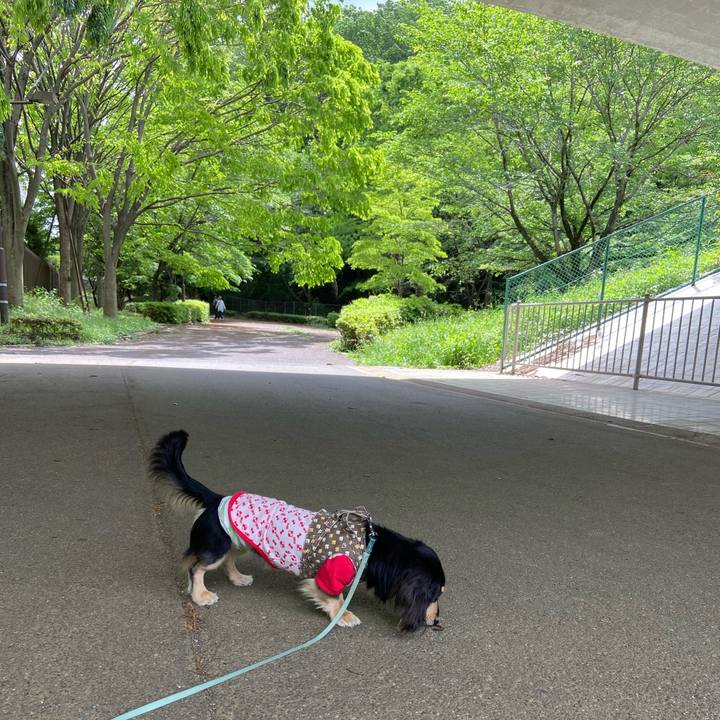 2cacb1a8 402f 4026 ab28 4643cd879474 1714623747542