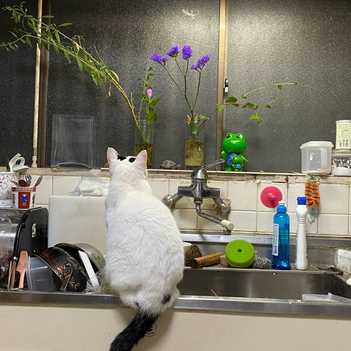 2cacc9a5 cf10 4caa a96c df3774175d3b 1601549621166