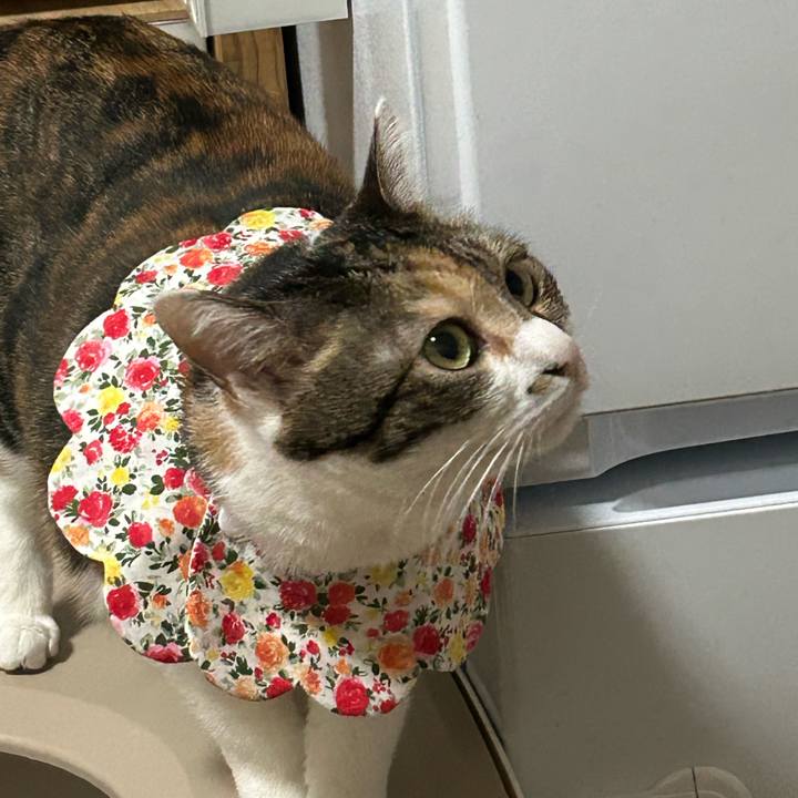 2cacda67 3d3b 432b 95a6 787bacd17be9 1763962349456