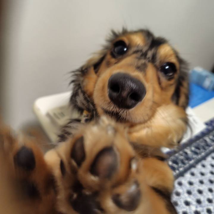 2cacddbd 545f 4c5e bf20 392e27157832 1713696947355