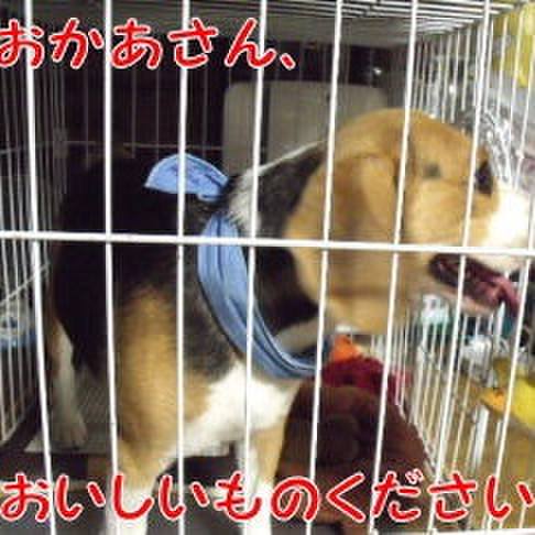 2cacf1a0 a440 4e66 ad92 9c9d142f1f3e 1691967580419