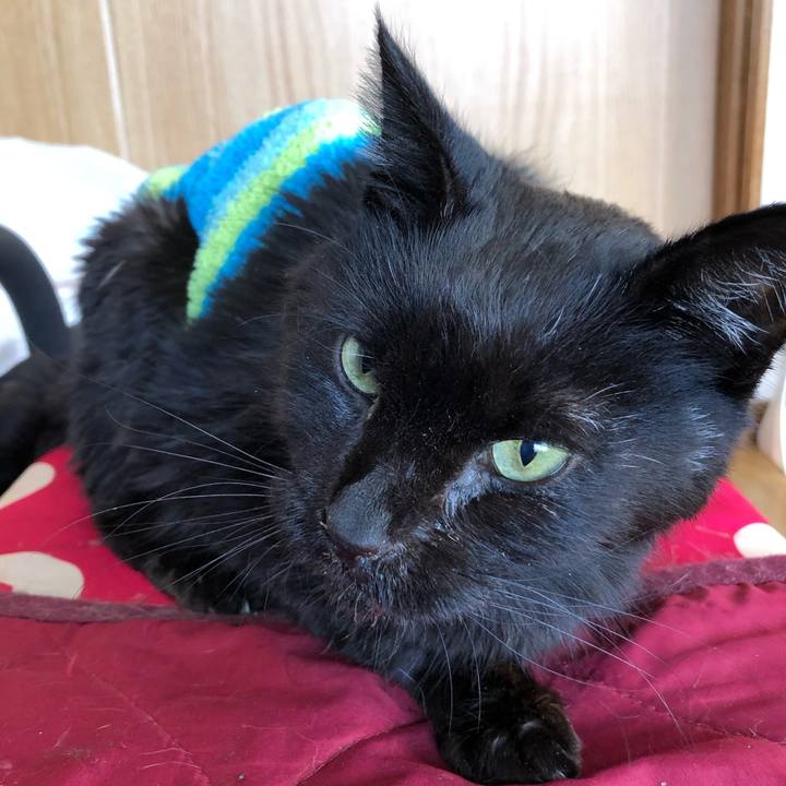 2cad17e6 8ca1 4680 816c 6b5227c3600f 1647053887659