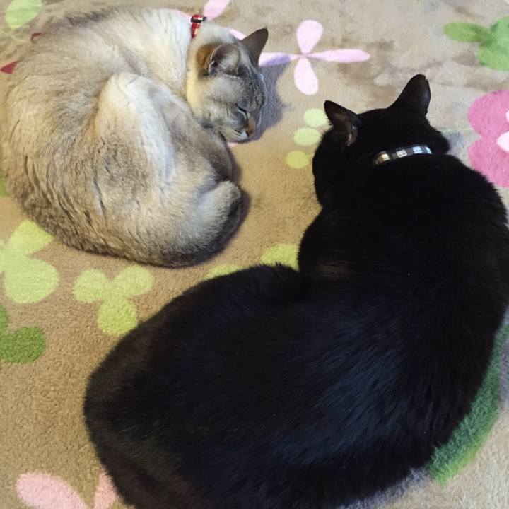 2cad2194 3ae3 4330 8f3e 4c642290fd3e 1523655237828