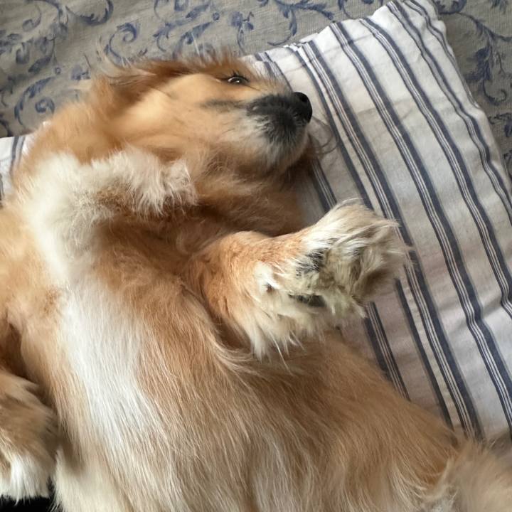 2cad2595 6017 41c2 a5ac 26f6328f511c 1718745351824