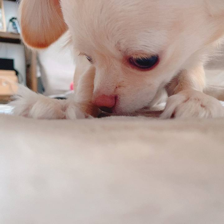 2cad5d7b 0b77 44a6 9267 8e5423c7b024 1618988057074