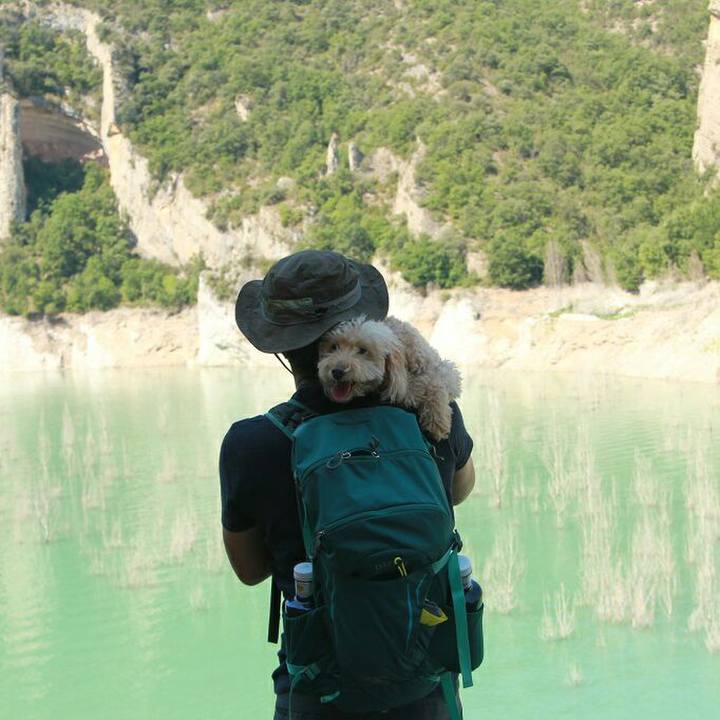 2cad6642 ecc7 49c9 933d 000aa66086fe 1573655635790