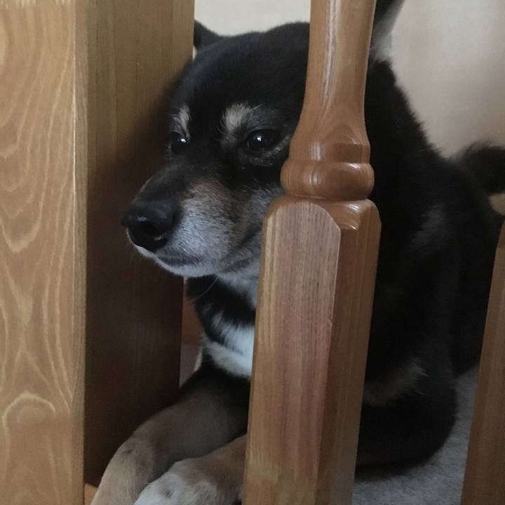 2cad707c 6a58 4c2e ac68 55b75ece3674 1514761848169