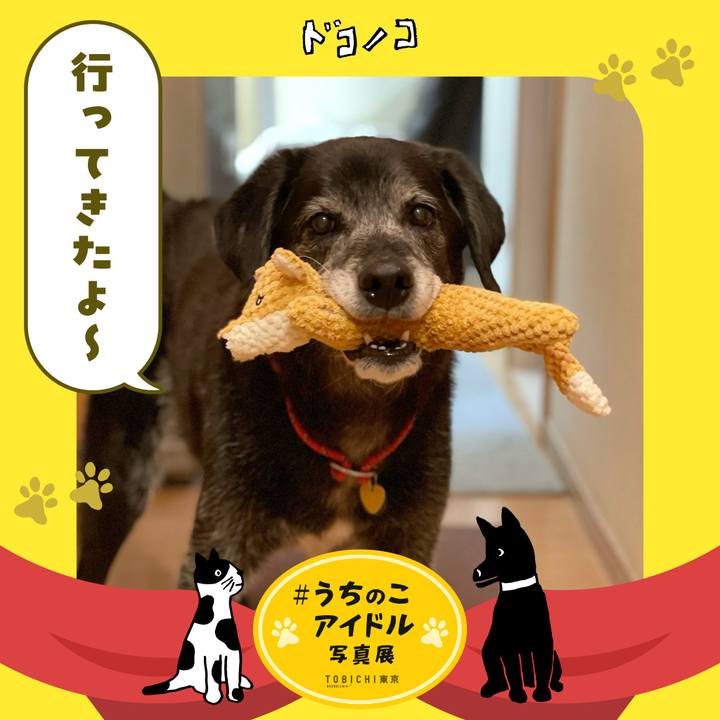 2cadc06b 769f 45f5 812d e598950f2b06 1761901829878