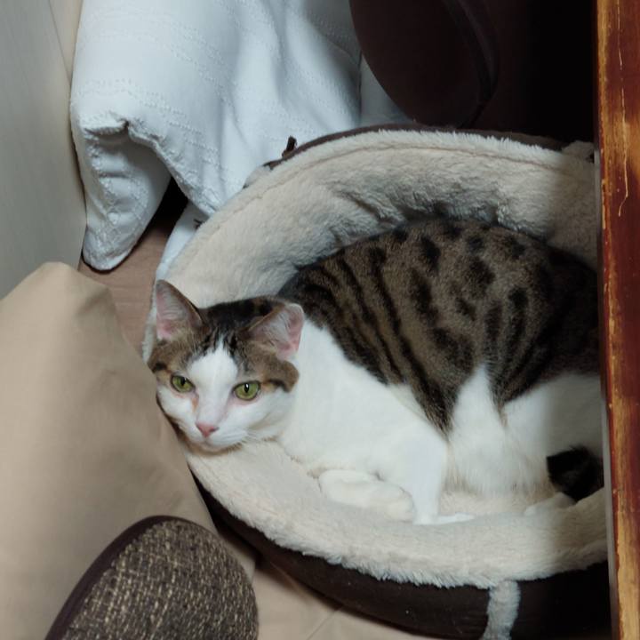 2cadc4c1 6c39 47aa 9483 06b054ab47fb 1639431504945