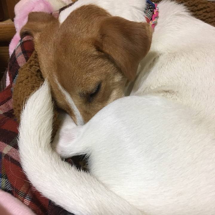 2cadfea4 0629 42ea b7dd a5870c1a13b8 1511695833000