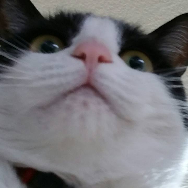 2cae6dc5 5278 4507 85f1 360fc3d008f5 1526082619956