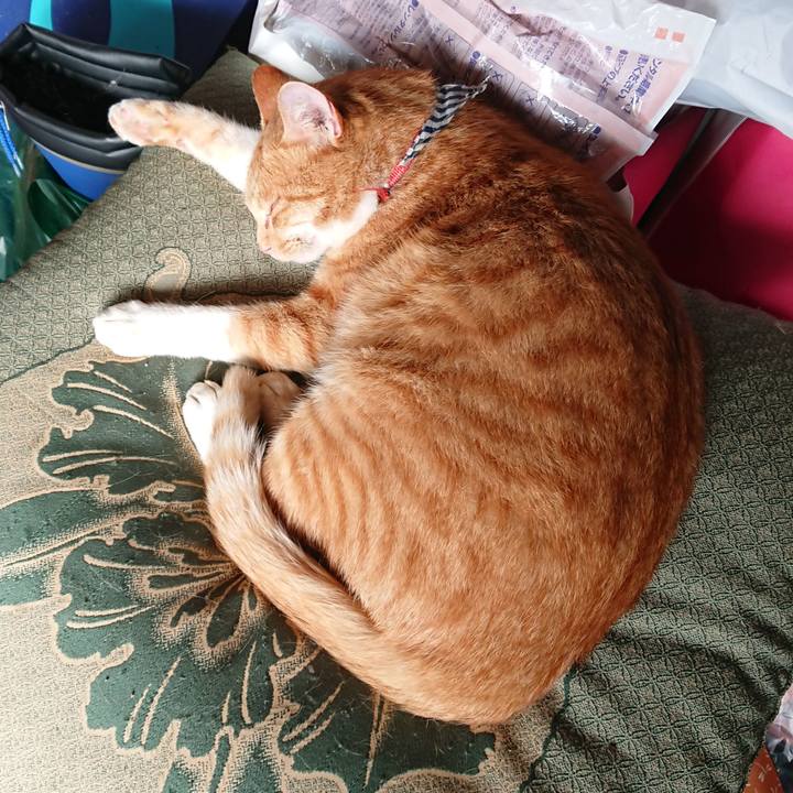 2cae7b9c f763 44ad af75 5ef404e998ef 1571529225069