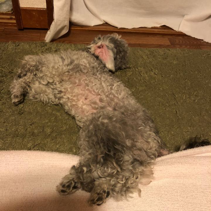 2cae85df 01cd 429b 89dc f5a0df980785 1527464139223