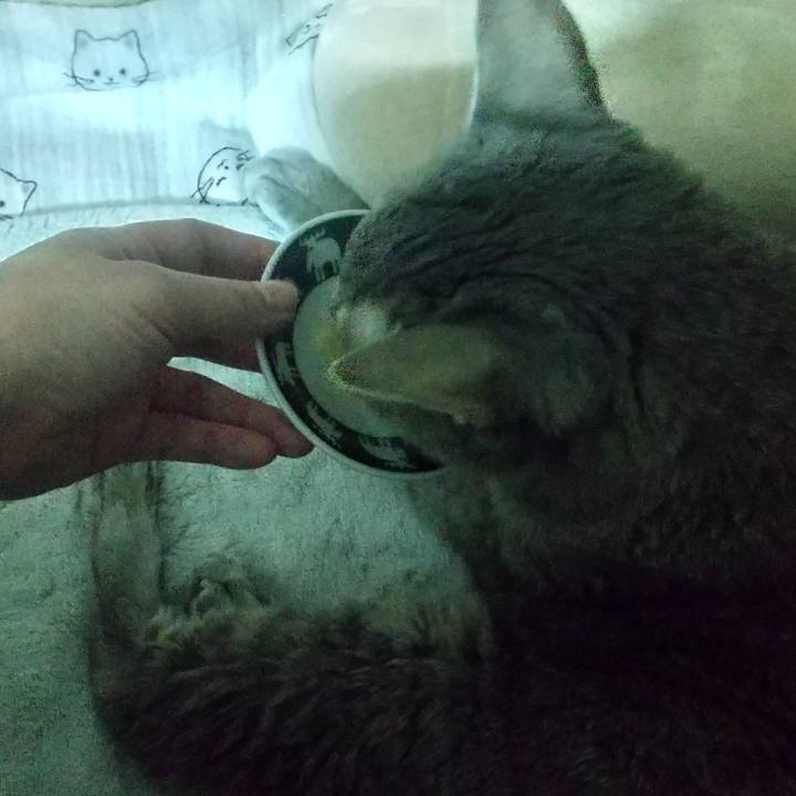 2cae9576 d61a 422f a627 fed4c79235de 1696889222538