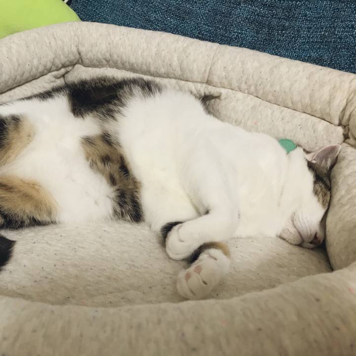 2caec280 759c 49f1 a439 06b360013daa 1536729412692