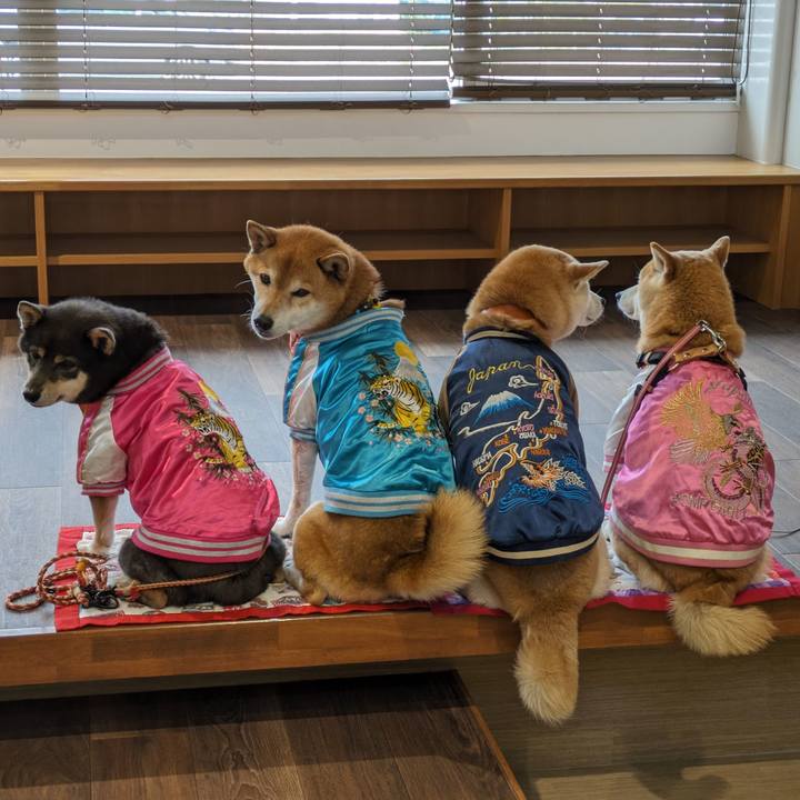 2caed8a7 b4c1 4481 a93c 46697bfa10b1 1707701553803