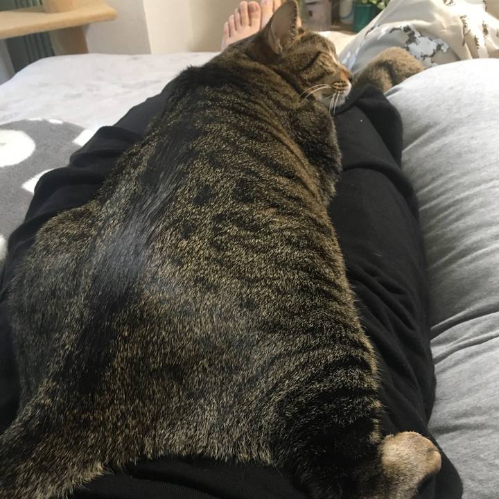 2caedca4 5e43 45ae ac3b 25341ce1597a 1578129954255