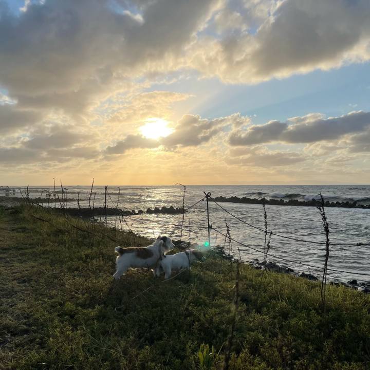 2caf3aea a471 4f8a 8467 5f79d97748d8 1632477752917