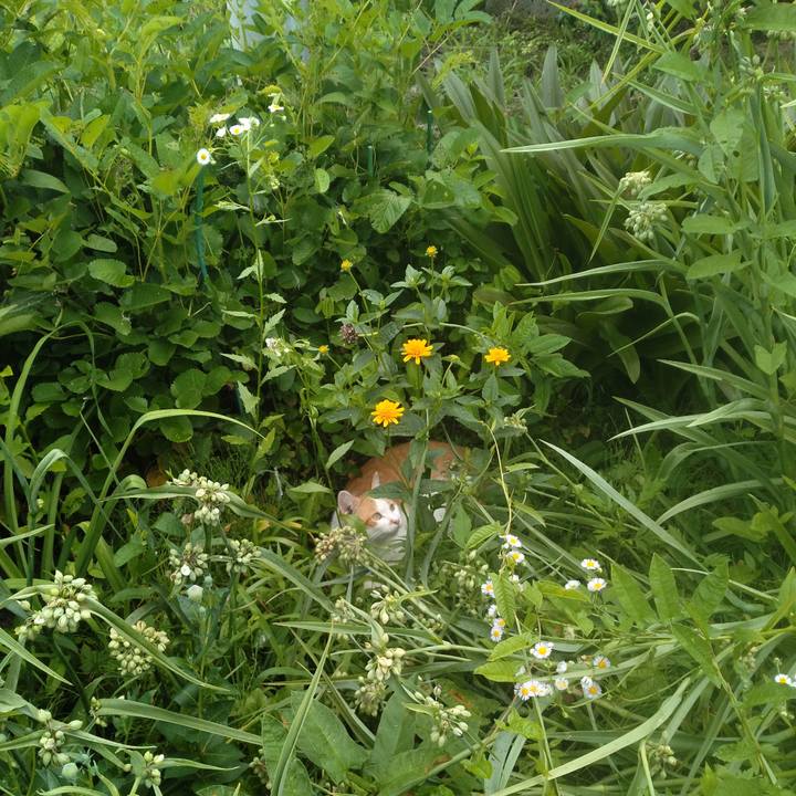 2caf3c92 e193 45a3 8641 45f8a9ac031c 1751360208359