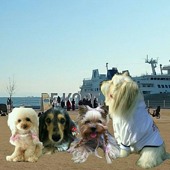 2caf49f0 309d 4853 9858 670dfd051e90 1515753937937