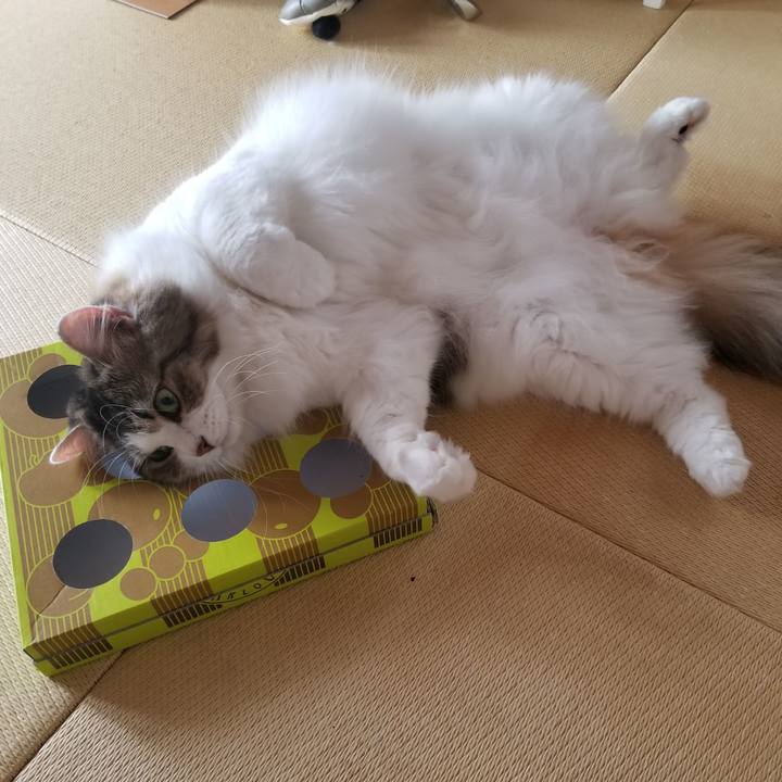 2caf549c 1d9e 42c5 9b79 fb8e7890769f 1537053161546