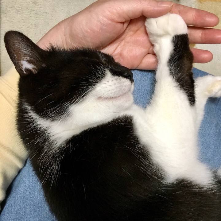 2caf8f91 5d63 4775 b54f 01050e7dc8c1 1526295923578