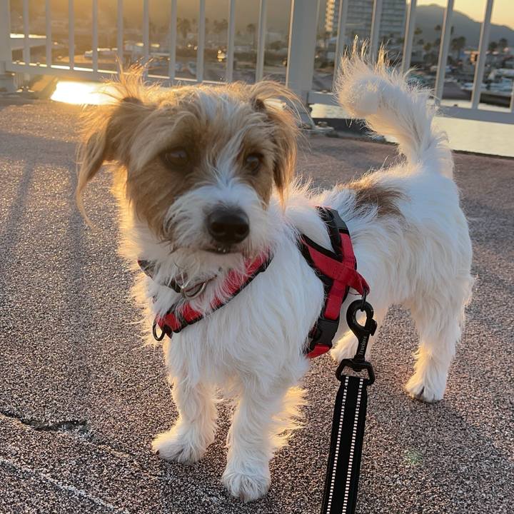 2cafe2c4 baf9 44d2 83f5 2ec01286b470 1771668937851