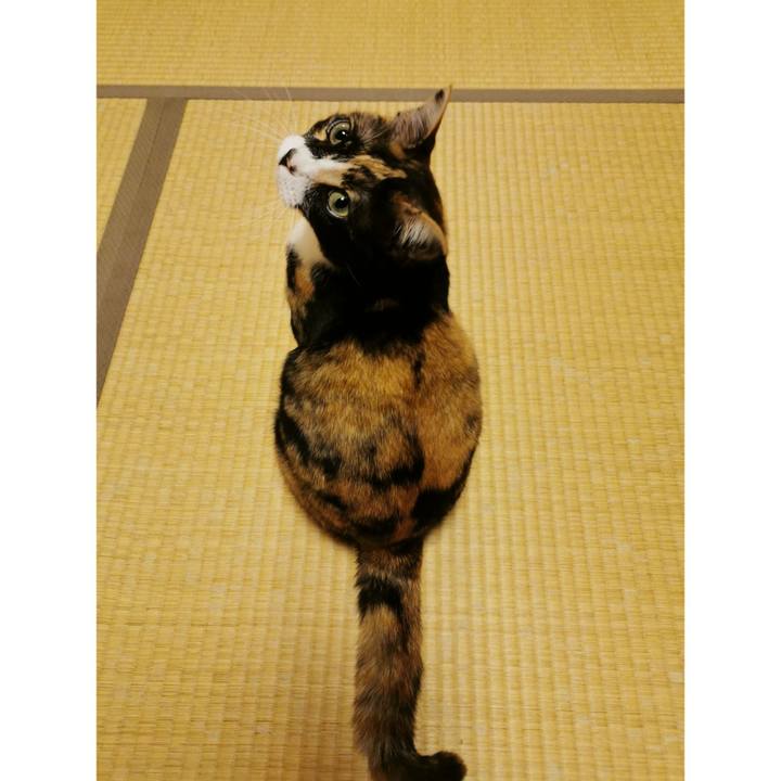 2cb00e27 5183 485a 8ff1 9e28ea2827cf 1649047639940