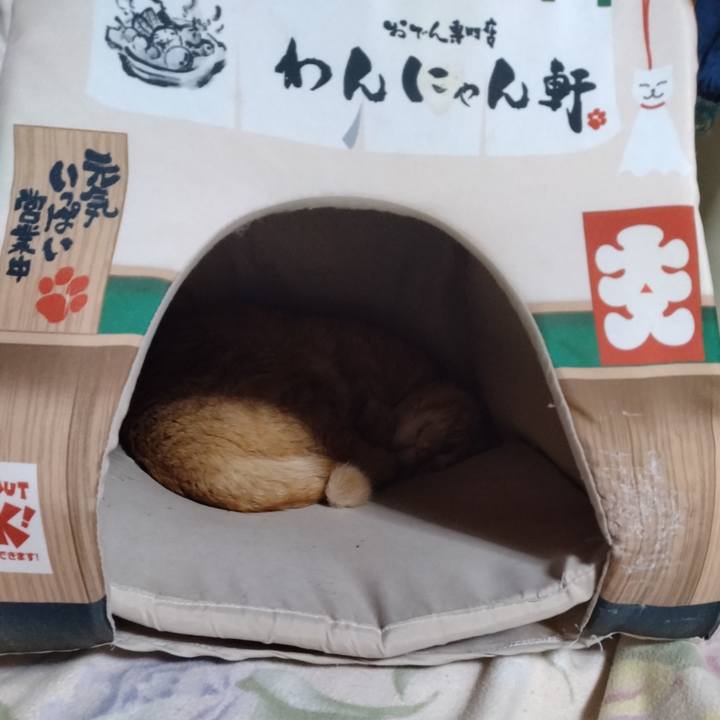 2cb02252 9a76 4d10 98d2 731f5520d58b 1676639942770