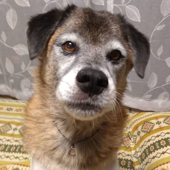 2cb041a1 6237 4d7a a842 9d427f41dafe 1571127635227