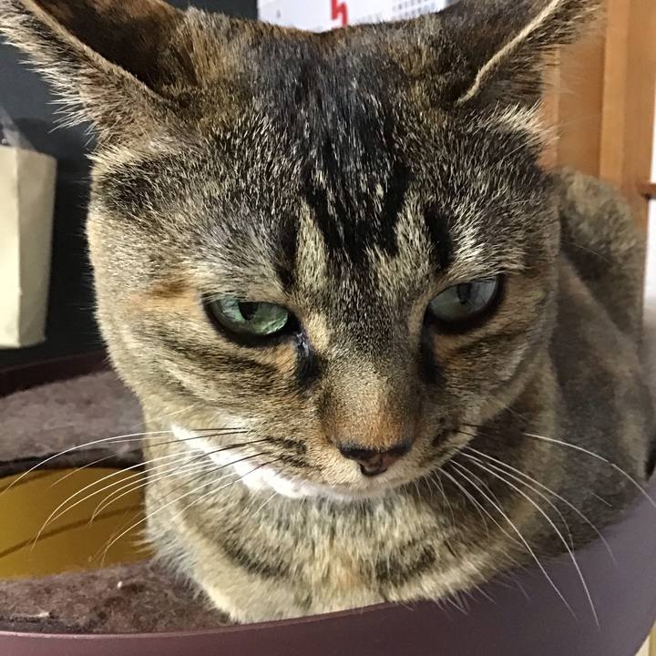 2cb049ff 8ab5 425b a5a5 94df6f0f8fae 1715586694594