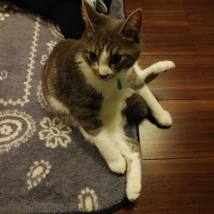 2cb072a8 1976 4a94 9ce8 709537c4117d 1571493173579