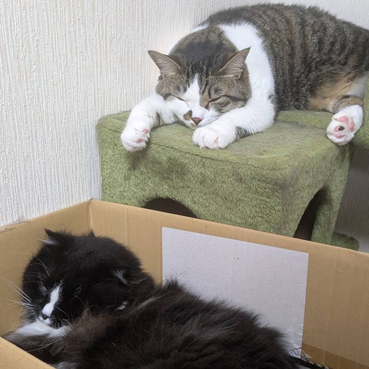 2cb08b94 59af 41e9 8a5e 470d1c2aa5d0 1751942925268