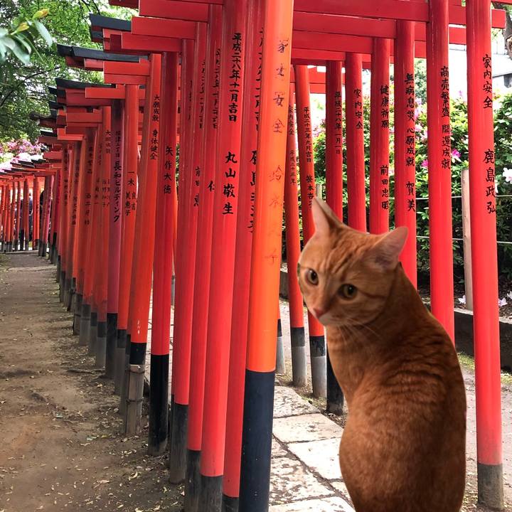 2cb0f315 9a59 4e6a 8462 d1331c99f8b6 1558494135415