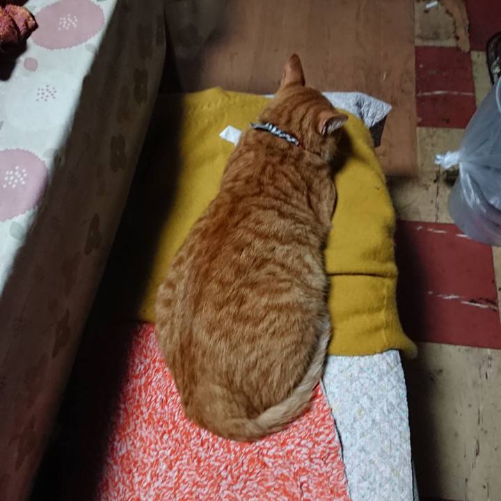 2cb15d1a f2c9 4252 9273 ad06623d10fe 1570265685202