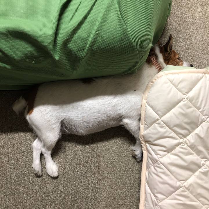 2cb1619e 7ce2 41a3 81de 4935edab63d8 1568203467190