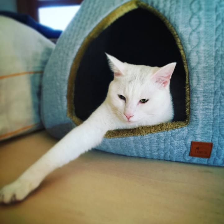 2cb1b246 c7c6 453d 8225 03fc7c513515 1515717474585