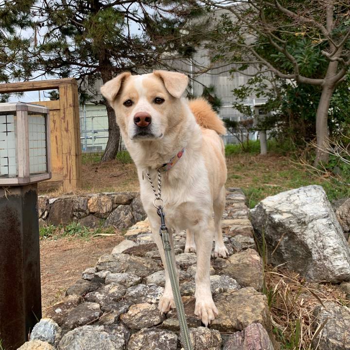 2cb1c2d8 2890 401e 92a0 37c8d56e20b3 1553735976345