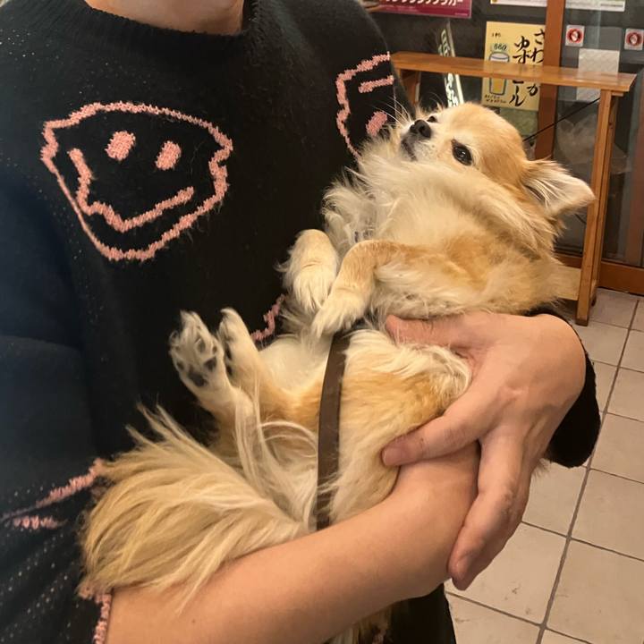 2cb22f26 9182 4c91 bd0b 90ca9d952a64 1765985455824