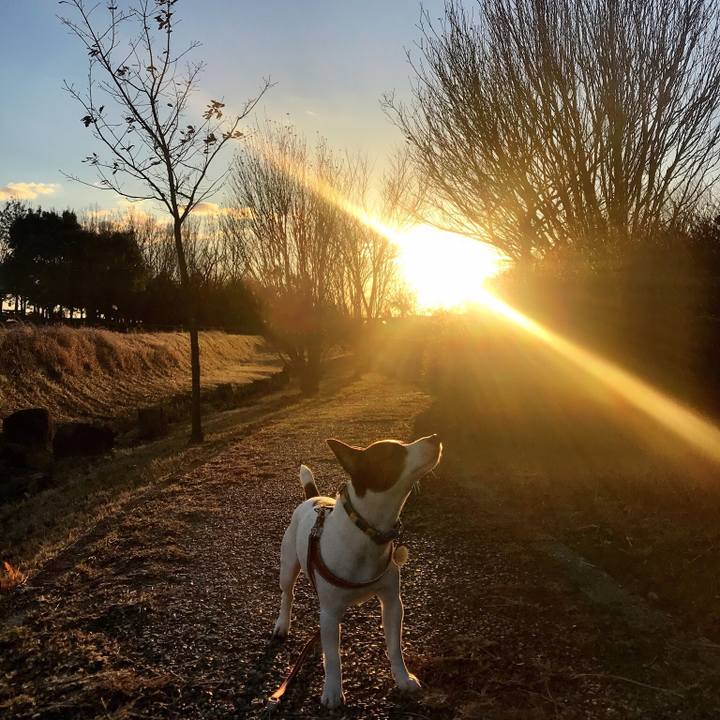 2cb22f60 28df 408d 879f cdc91b6c7c05 1515664716631