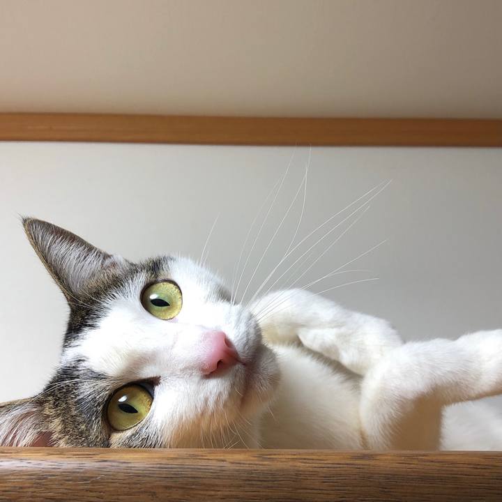 2cb23976 d6a2 44f1 9f4d e62ab51318c3 1611749314355