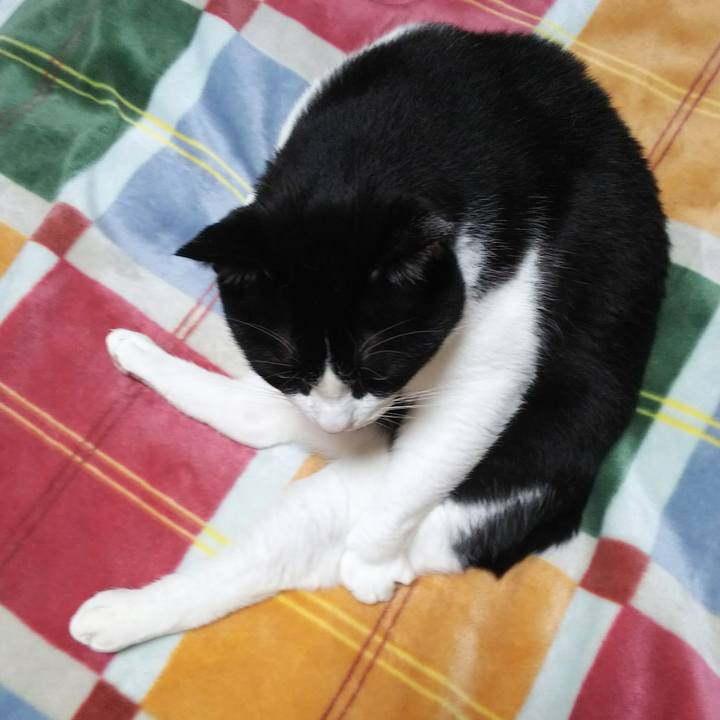 2cb23f97 7ea5 4c23 869d 6f8ca2cd24a6 1541368211281