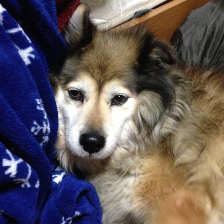 2cb24280 af46 45ec a884 8e744e497642 1549437039552