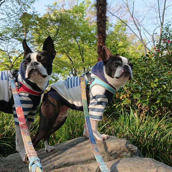 2cb2821f a038 49e2 838b e5cce3debf01 1523279035397