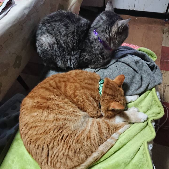 2cb2a8c7 f548 41bd b6cb bc6cb6210e89 1579936443389