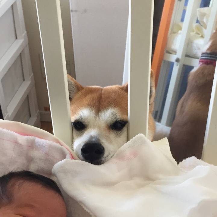 2cb2d474 9d1b 403d bd3b 26e529097db1 1520047440550