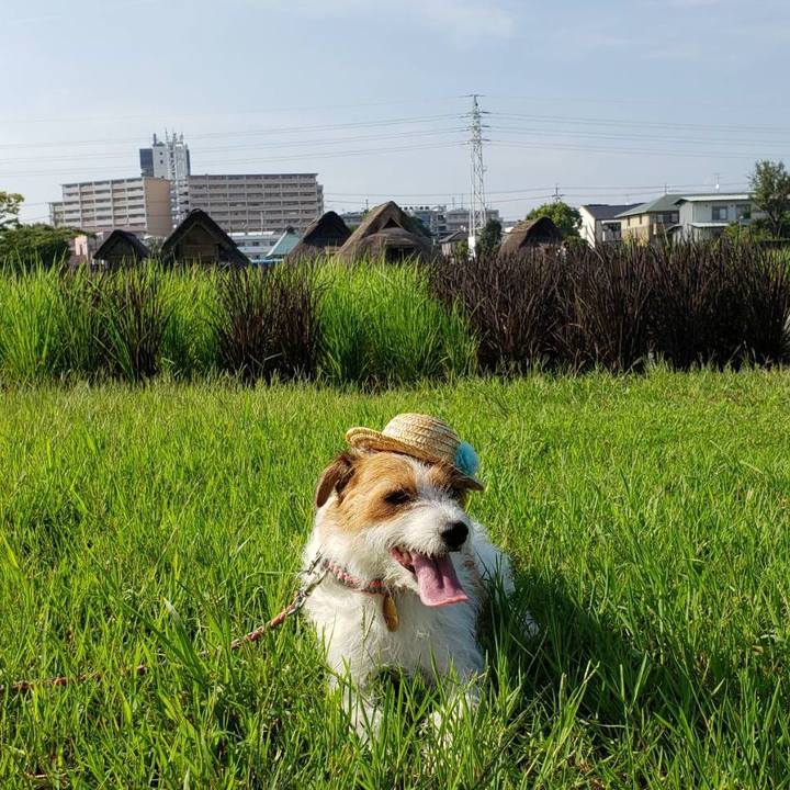 2cb2e4db 2a14 4ec5 bc9d 274f71329243 1629960925981