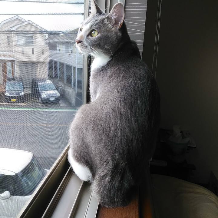 2cb3181a a680 4b7c a555 b902bbe301a1 1594071816606