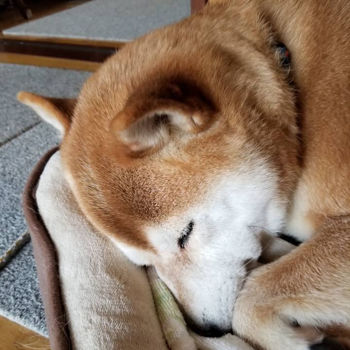 2cb36f97 f5ff 402a 8165 c276cbecaf5a 1565922288629